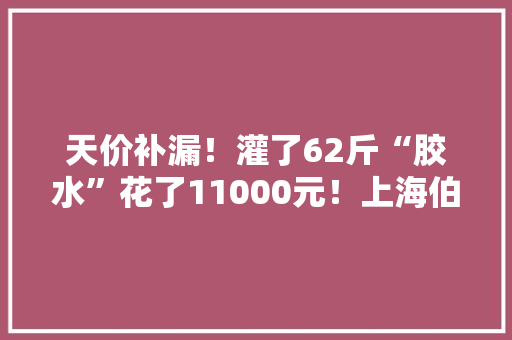 天价补漏！灌了62斤“胶水”花了11000元！上海伯伯很很很受伤 天价补漏！灌了62斤“胶水”花了11000元！上海伯伯很很很受伤 智能科技