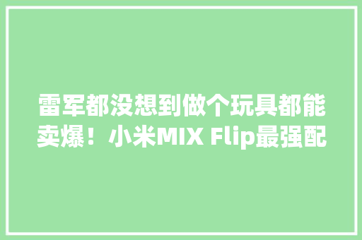 雷军都没想到做个玩具都能卖爆！小米MIX Flip最强配件499元