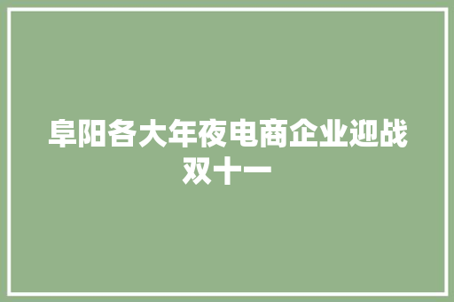 阜阳各大年夜电商企业迎战双十一 阜阳各大年夜电商企业迎战双十一 互联通信