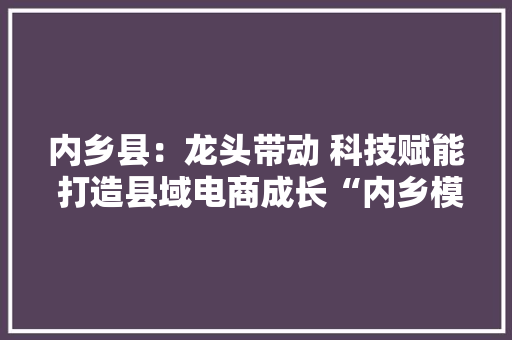 内乡县：龙头带动 科技赋能 打造县域电商成长“内乡模式”