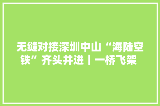 无缝对接深圳中山“海陆空铁”齐头并进｜一桥飞架 深中同城