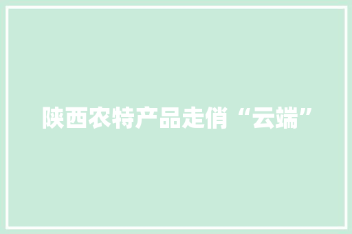 陕西农特产品走俏“云端” 陕西农特产品走俏“云端” 智能家居