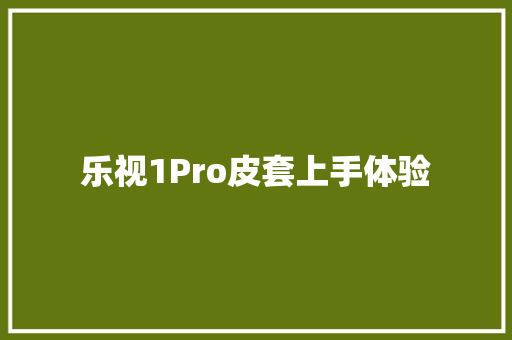 乐视1Pro皮套上手体验 乐视1Pro皮套上手体验 智能家居