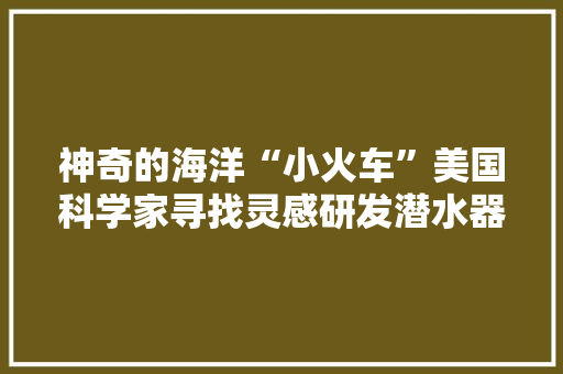 神奇的海洋“小火车”美国科学家寻找灵感研发潜水器 神奇的海洋“小火车”美国科学家寻找灵感研发潜水器 智能家居