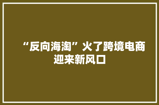 “反向海淘”火了跨境电商迎来新风口