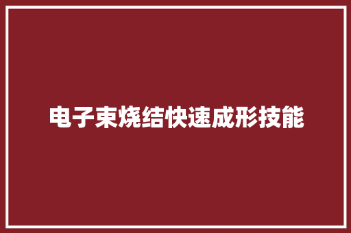 电子束烧结快速成形技能 电子束烧结快速成形技能 智能科技