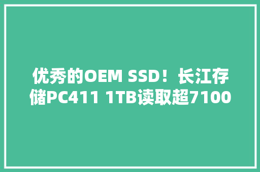 优秀的OEM SSD！长江存储PC411 1TB读取超7100MB/s、最高温度仅有51度