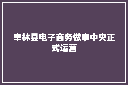 丰林县电子商务做事中央正式运营