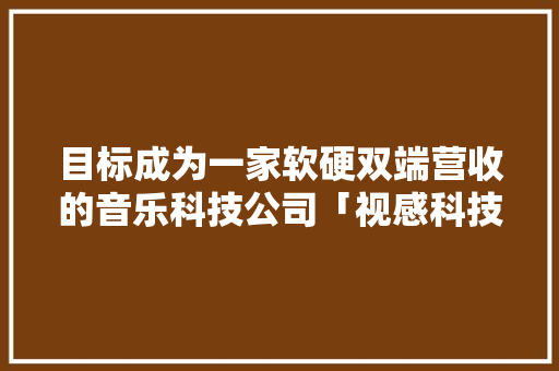 目标成为一家软硬双端营收的音乐科技公司「视感科技」推社群化运营产品“音乐CP”