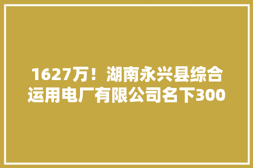 1627万！湖南永兴县综合运用电厂有限公司名下300项机械设备成交