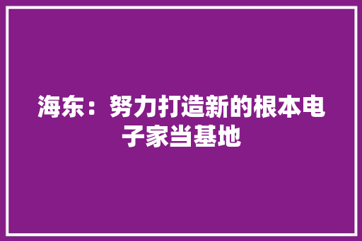 海东：努力打造新的根本电子家当基地