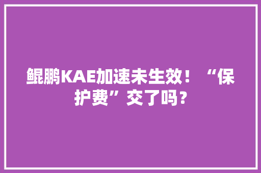 鲲鹏KAE加速未生效！“保护费”交了吗？