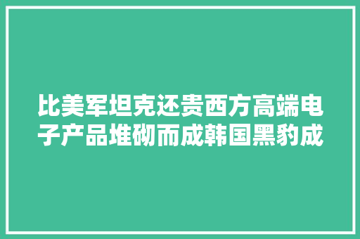 比美军坦克还贵西方高端电子产品堆砌而成韩国黑豹成为大年夜黑马