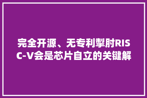 完全开源、无专利掣肘RISC-V会是芯片自立的关键解吗？| 年度行业研究