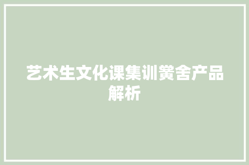 艺术生文化课集训黉舍产品解析