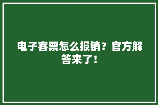 电子客票怎么报销？官方解答来了！