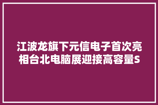 江波龙旗下元信电子首次亮相台北电脑展迎接高容量SSD时代光降 江波龙旗下元信电子首次亮相台北电脑展迎接高容量SSD时代光降 智能科技