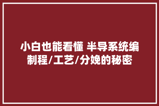 小白也能看懂 半导系统编制程/工艺/分娩的秘密