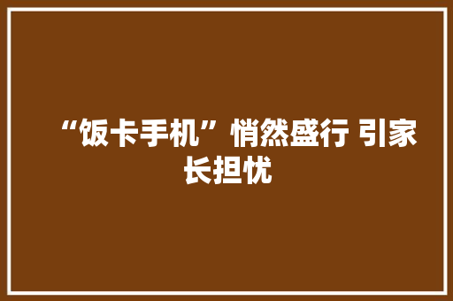 “饭卡手机”悄然盛行 引家长担忧