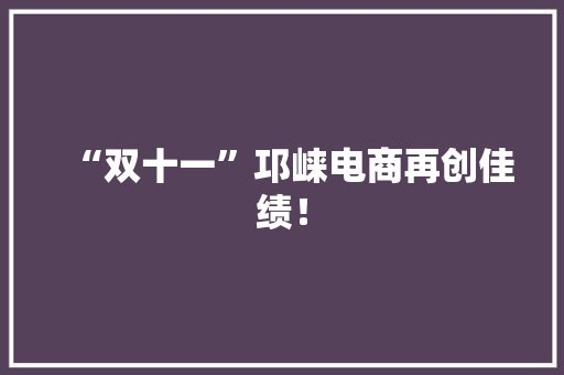 “双十一”邛崃电商再创佳绩！
