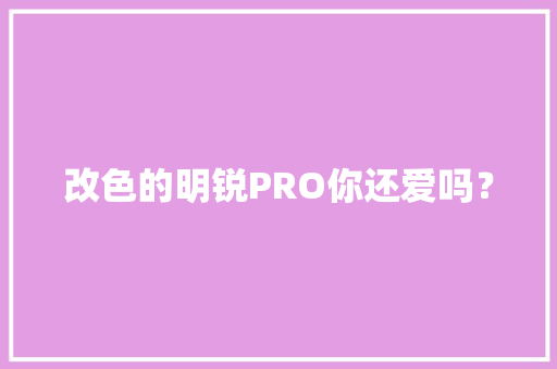 改色的明锐PRO你还爱吗？