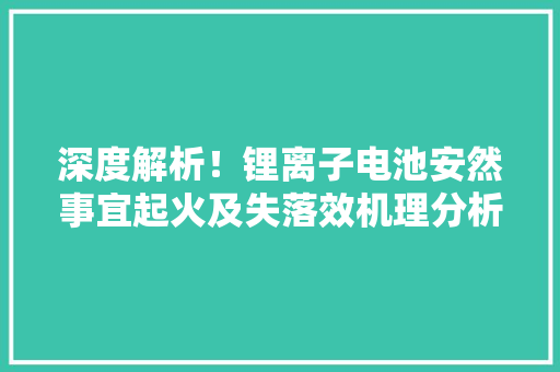 深度解析！锂离子电池安然事宜起火及失落效机理分析