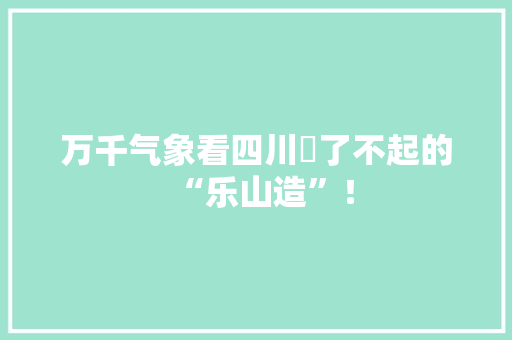万千气象看四川⑱了不起的“乐山造”！
