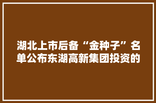 湖北上市后备“金种子”名单公布东湖高新集团投资的3家企业入选