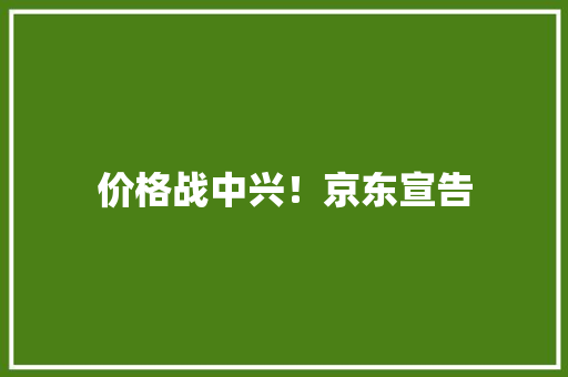 价格战中兴！京东宣告 价格战中兴！京东宣告 人工智能
