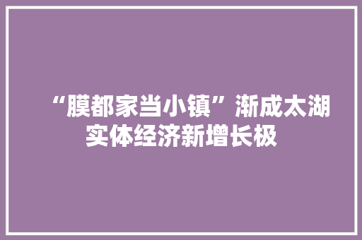 “膜都家当小镇”渐成太湖实体经济新增长极