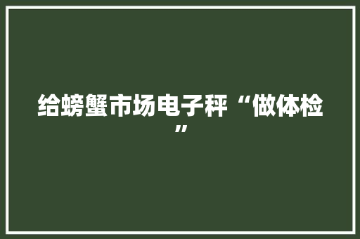 给螃蟹市场电子秤“做体检”