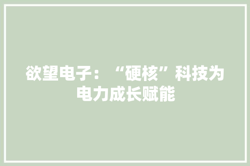 欲望电子：“硬核”科技为电力成长赋能