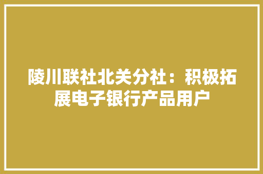 陵川联社北关分社：积极拓展电子银行产品用户