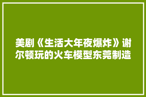 美剧《生活大年夜爆炸》谢尔顿玩的火车模型东莞制造！