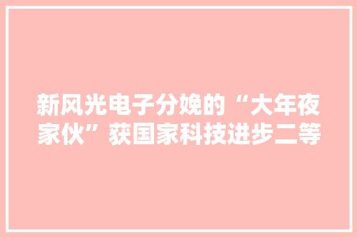 新风光电子分娩的“大年夜家伙”获国家科技进步二等奖