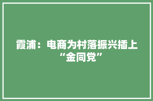 霞浦：电商为村落振兴插上“金同党”