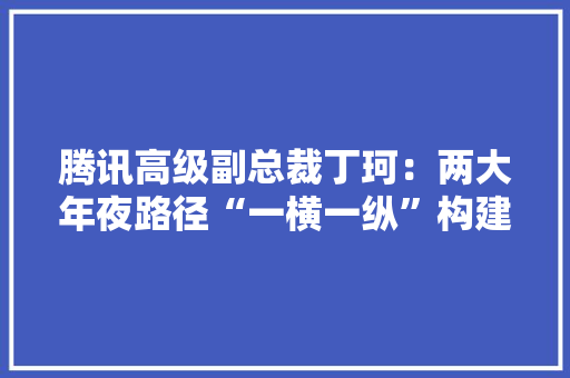 腾讯高级副总裁丁珂：两大年夜路径“一横一纵”构建数字经济的安然新情形