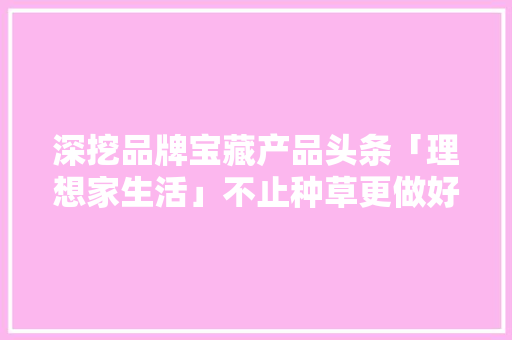 深挖品牌宝藏产品头条「理想家生活」不止种草更做好生意