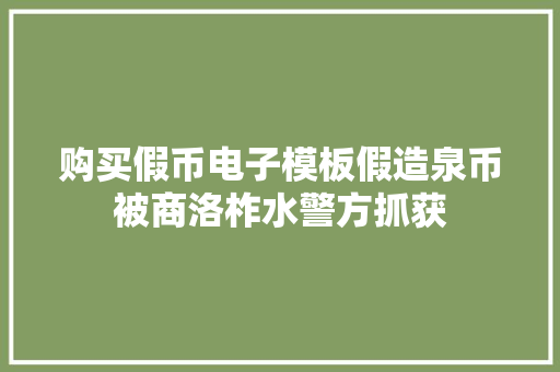 购买假币电子模板假造泉币被商洛柞水警方抓获