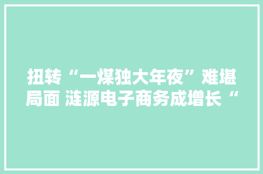 扭转“一煤独大年夜”难堪局面 涟源电子商务成增长“新引擎”