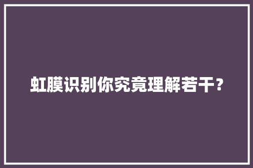 虹膜识别你究竟理解若干？ 虹膜识别你究竟理解若干？ 人工智能