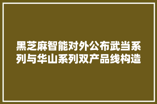 黑芝麻智能对外公布武当系列与华山系列双产品线构造新进展