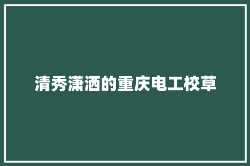 清秀潇洒的重庆电工校草