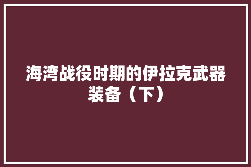 海湾战役时期的伊拉克武器装备（下）
