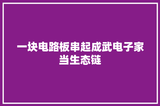 一块电路板串起成武电子家当生态链 一块电路板串起成武电子家当生态链 智能家居
