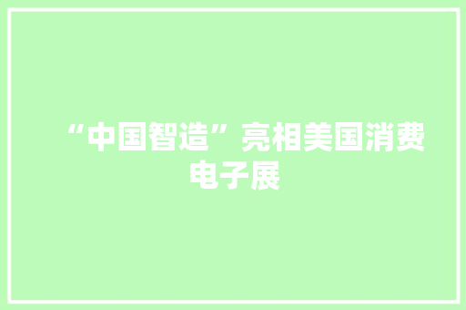 “中国智造”亮相美国消费电子展