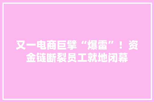 又一电商巨擘“爆雷”！资金链断裂员工就地闭幕