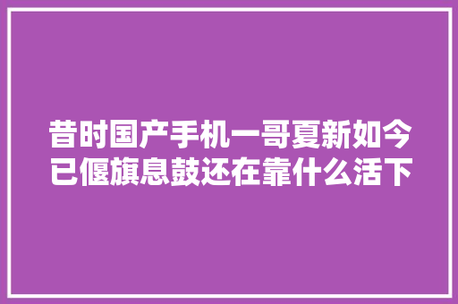 昔时国产手机一哥夏新如今已偃旗息鼓还在靠什么活下去？