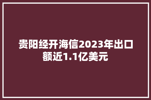 贵阳经开海信2023年出口额近1.1亿美元