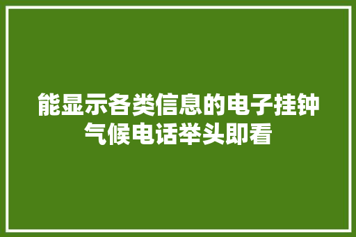 能显示各类信息的电子挂钟气候电话举头即看 能显示各类信息的电子挂钟气候电话举头即看 互联通信